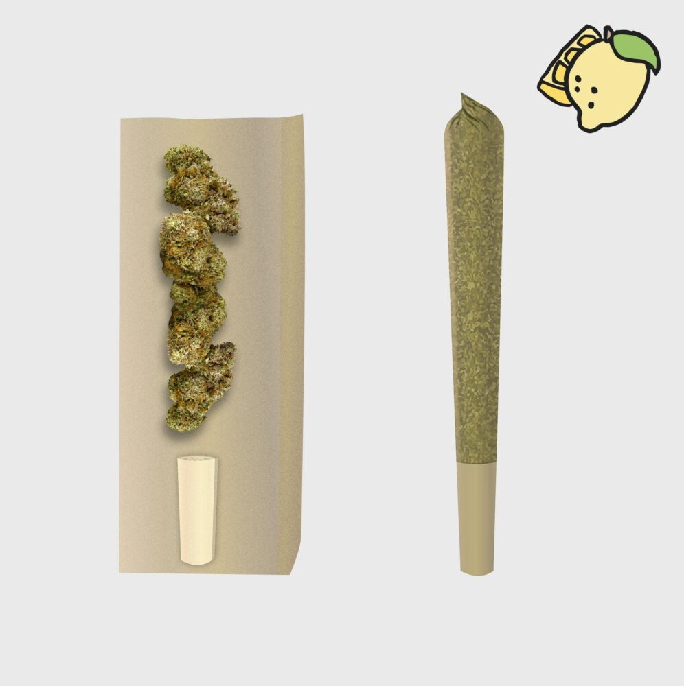 Lemon Haze Prerolls - POWER LVL 5/5 - Flower Power
