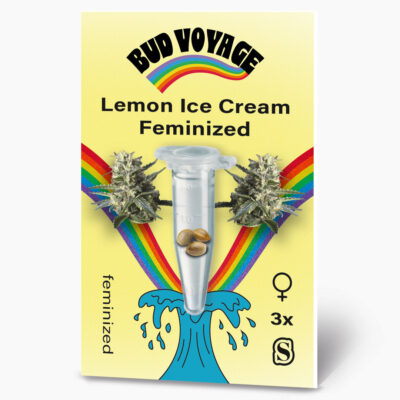 Lemon Ice Cream Feminisiert Hanfsamen von BudVoyage (glücklich) - HANS Brainfood