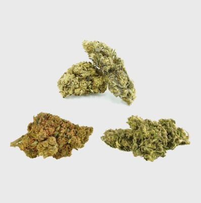 Power Fruit Punch - Flower Power