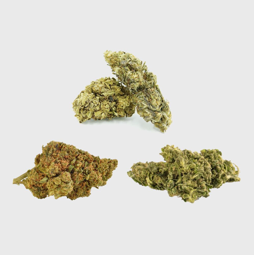 Power Fruit Punch - Flower Power