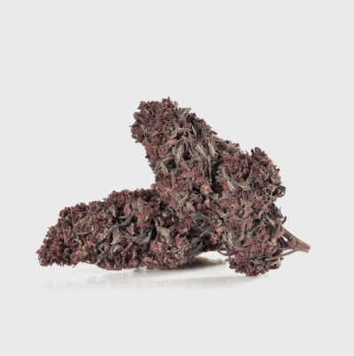 Purple Haze Delight CBD 21% - Flower Power