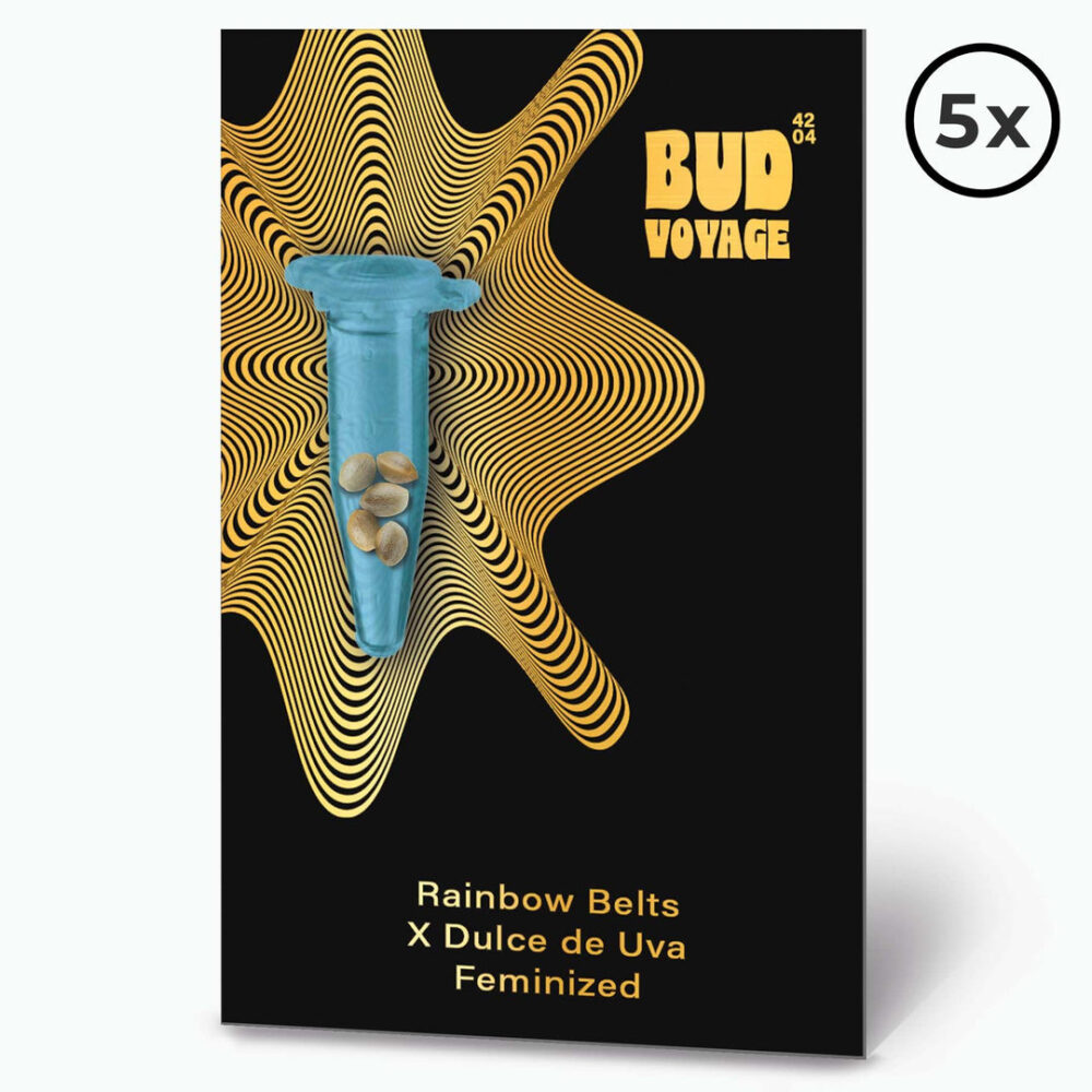 Rainbow Belts X Dulce de Uva Fem PREMIUM US Hanfsamen von BudVoyage (glücklich