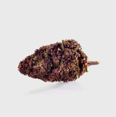 Sexy Groovy Purple - Happy420