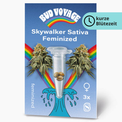 Skywalker Sativa Fem Hanfsamen von BudVoyage (glücklich