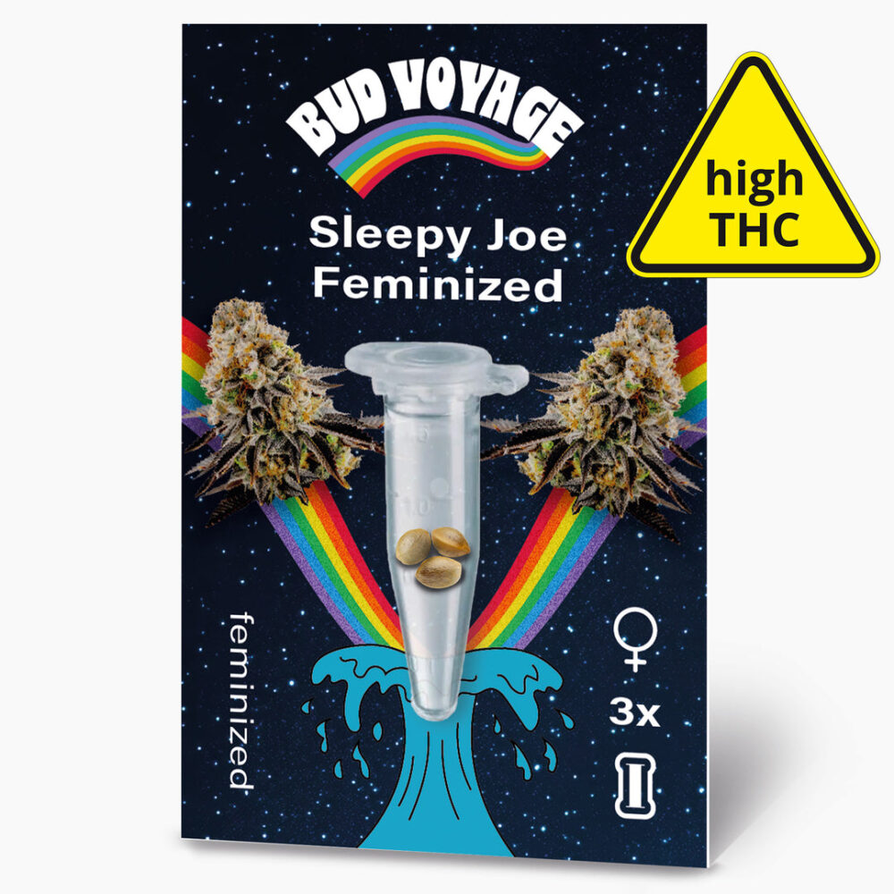 Sleepy Joe Fem Hanfsamen von BudVoyage (stark entspannend