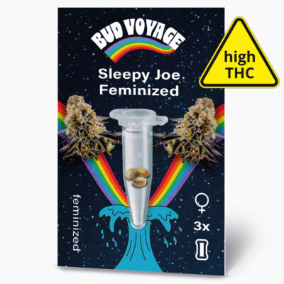 Sleepy Joe Fem Hanfsamen von BudVoyage (stark entspannend