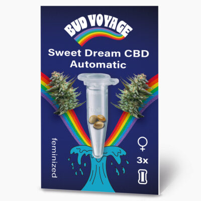 Sweet Dream CBD Auto Hanfsamen von BudVoyage (reine CBD-Sorte