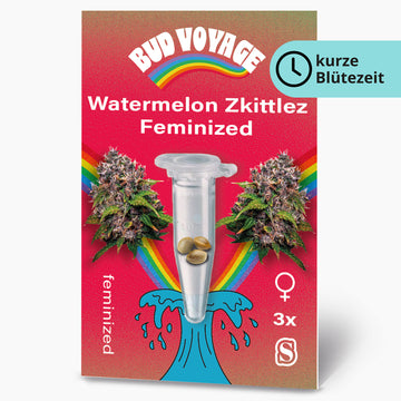 Watermelon Zkittlez Fem Hanfsamen von BudVoyage (kreativ
