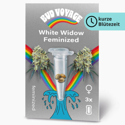 White Widow Fem Hanfsamen von BudVoyage (bei Schmerzen