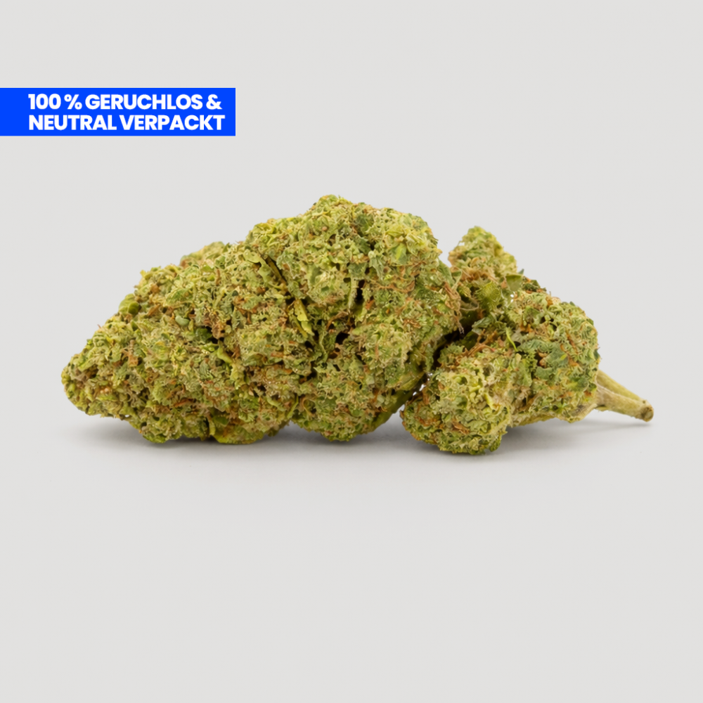 Lemon Pop PHC - Happy Flower