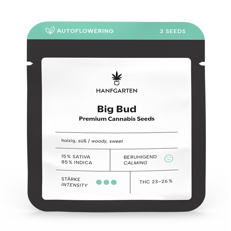 Big Bud | Autoflowering - Hanfgarten