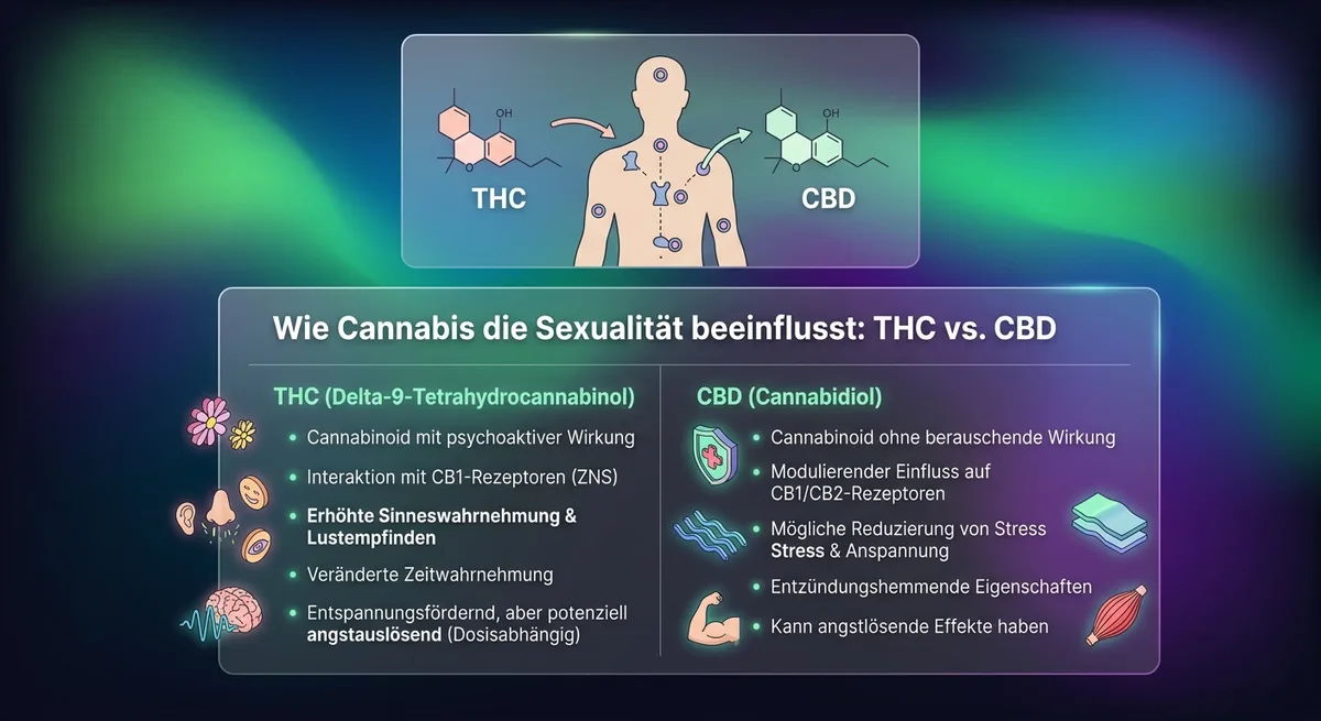 Stilisierte Illustration zweier Moleküle die an Rezeptoren einer Körpersilhouette andocken
