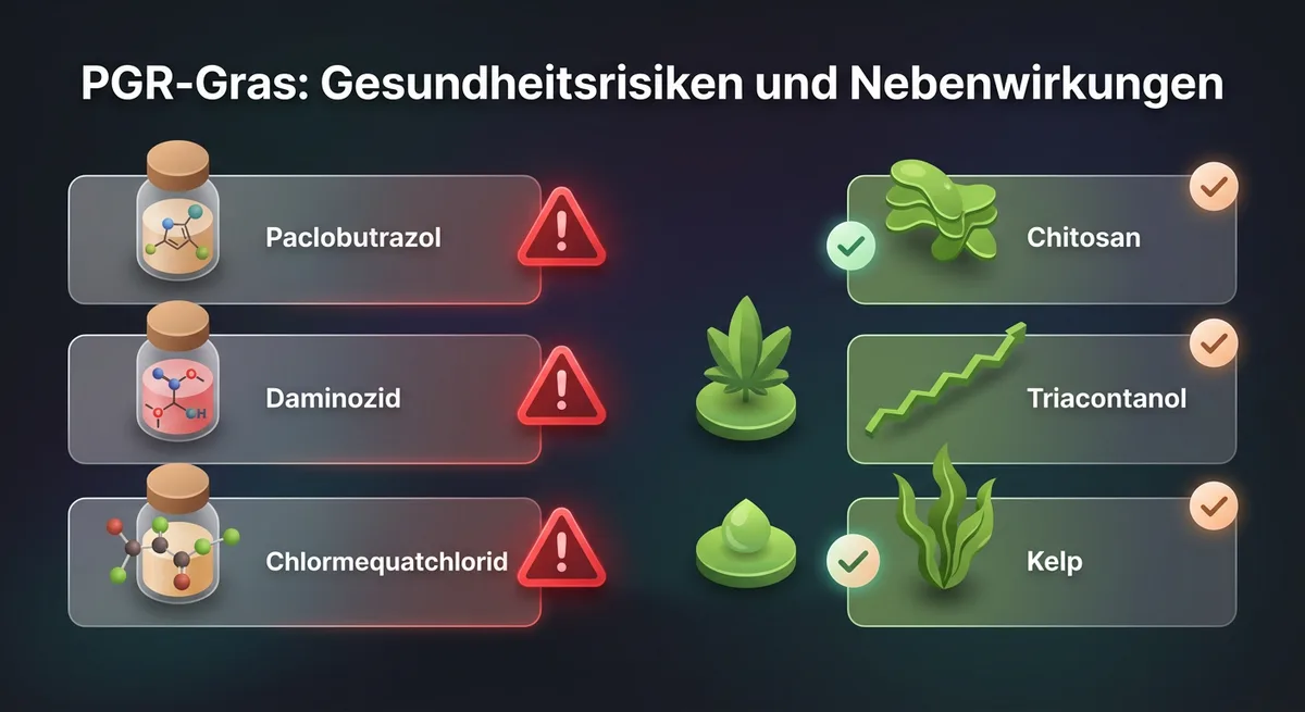 Infografik: Symbole für synthetische PGRs mit Warnsymbolen und natürliche PGR-Alternativen mit Haken
