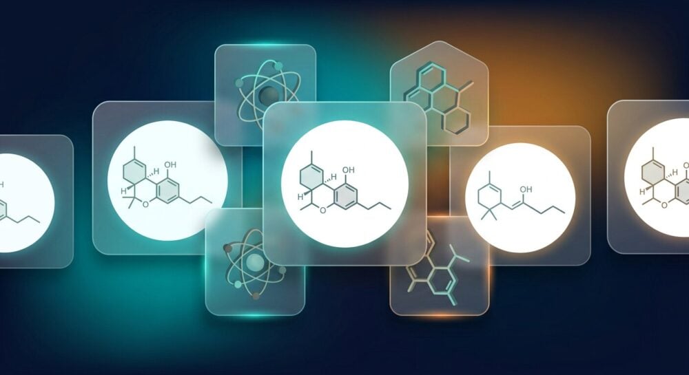 T9HC Molekularstruktur