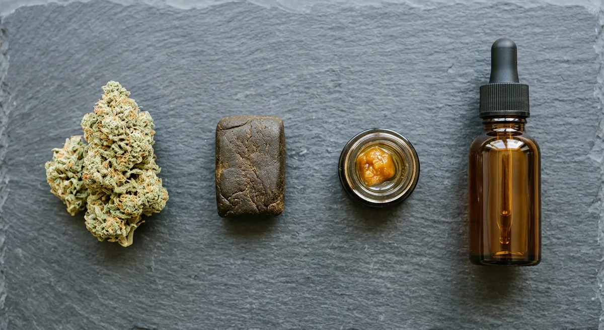 Verschiedene Cannabisprodukte nebeneinander: Blüten, Haschisch, Extrakt und Öl im Vergleich