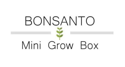 Bonsanto Logo