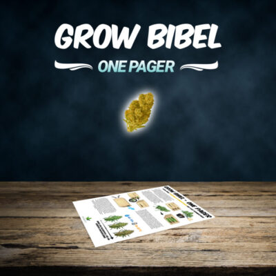 FermentBox -Grow Bibel One Pager - Expertenwissen - Bonsanto