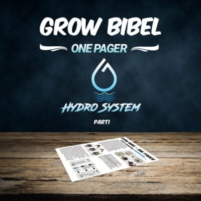 Hydrosystem Grow Bibel One Pager - Expertenwissen: P1 - Bonsanto