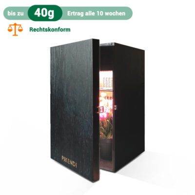 Pikendi Premium Black Mini Indoor-Garten – mit LED - Bonsanto
