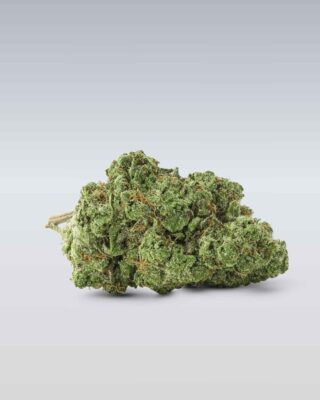 Frozen Black Cherry - Superior Blüte 50% - Only Grams