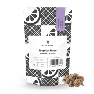Tropical Haze | CBD Blüten - Hanfgarten