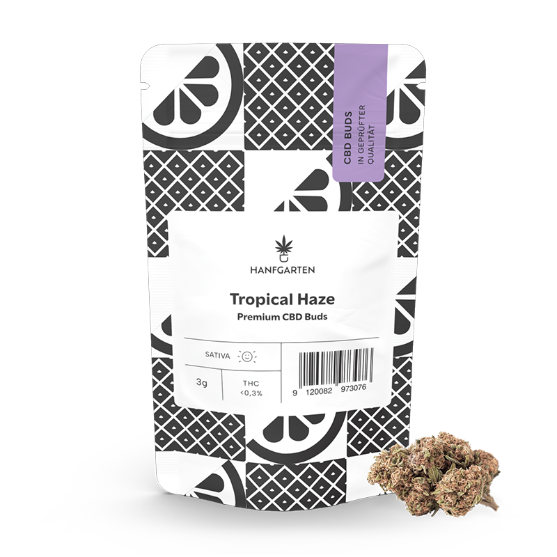 Tropical Haze | CBD Blüten - Hanfgarten