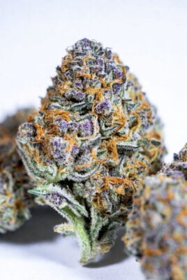Cannaday Insance Pound Cake THCA Blüten